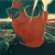Nick Prignano Avatar